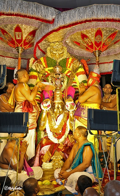 Sri Padmavati Devi Teppotsavams at Tiruchanoor - 2024