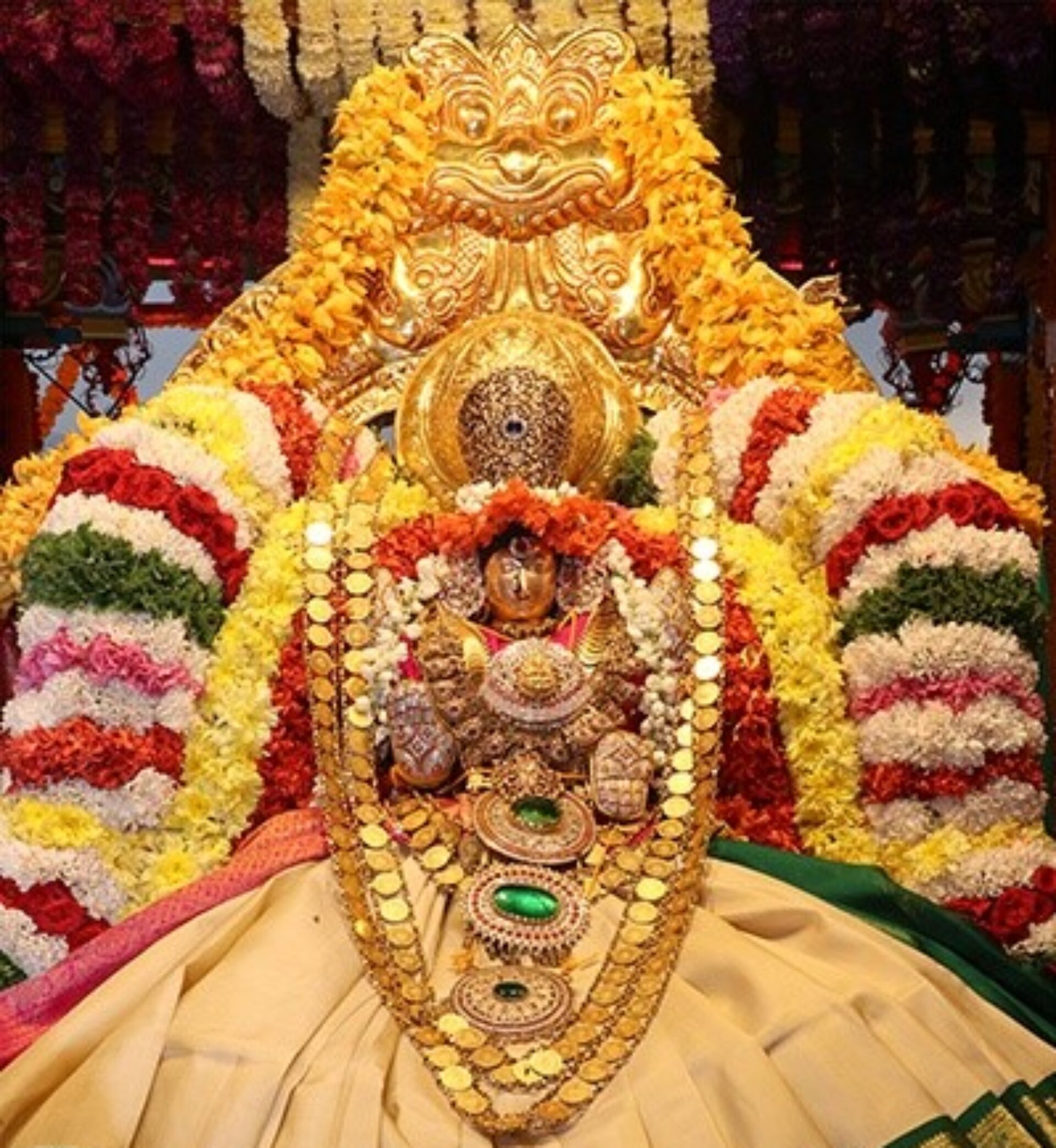 Sri Padmavati Devi Teppotsavams at Tiruchanoor - 2024