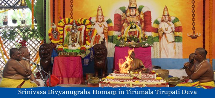 ttd_srinivasa_divyanugraha_homam